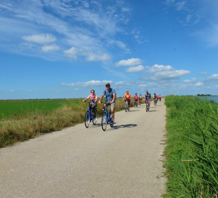 Explorez le parc à pied ou à vélo