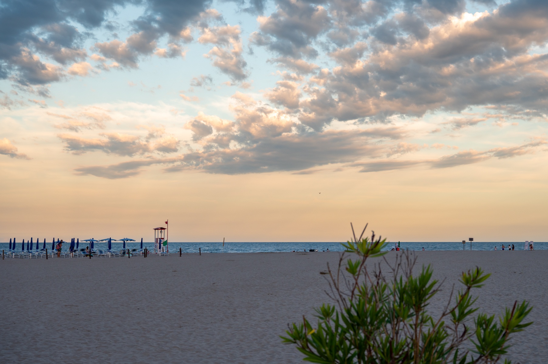 Marché de la restauration